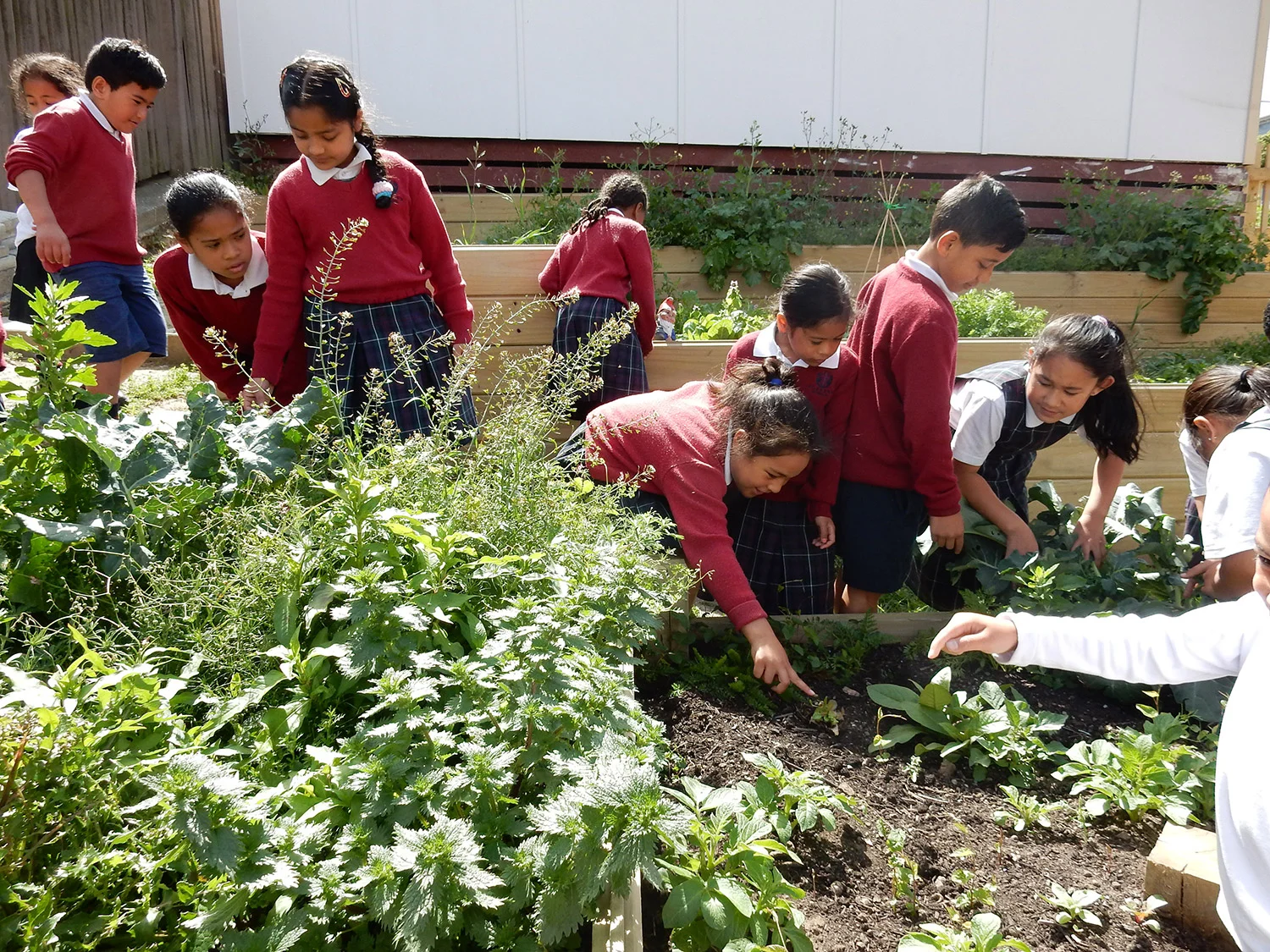 Garden Programme