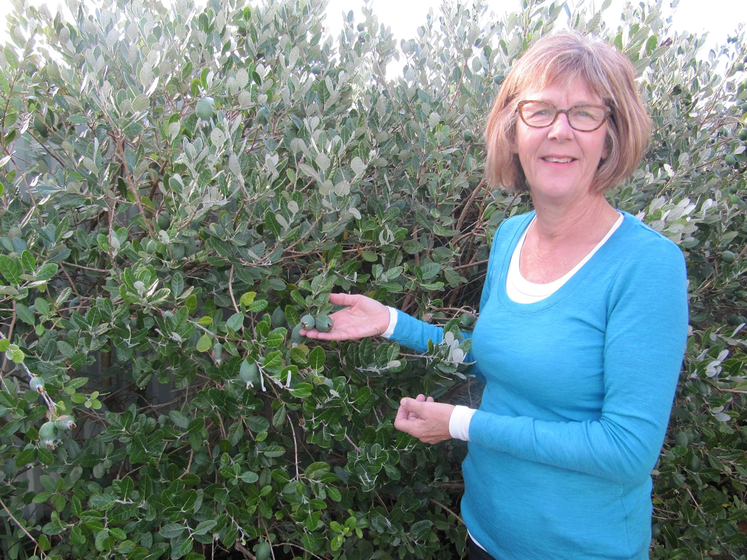 carole-garden.jpg