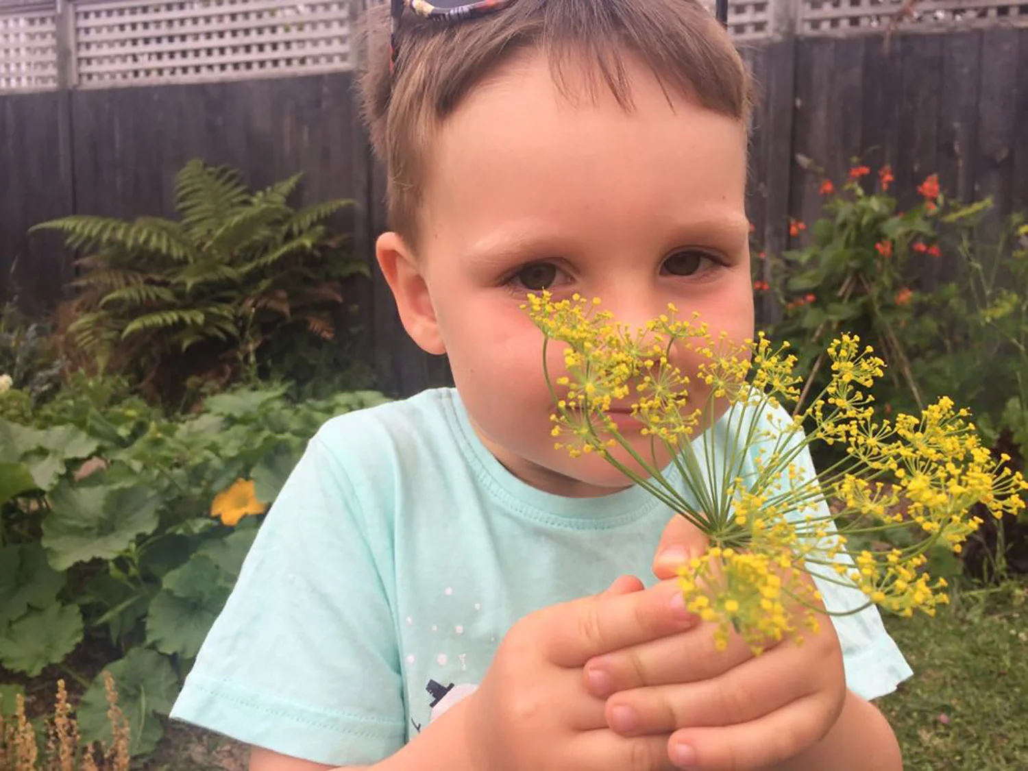 Child-smelling-dill.jpg