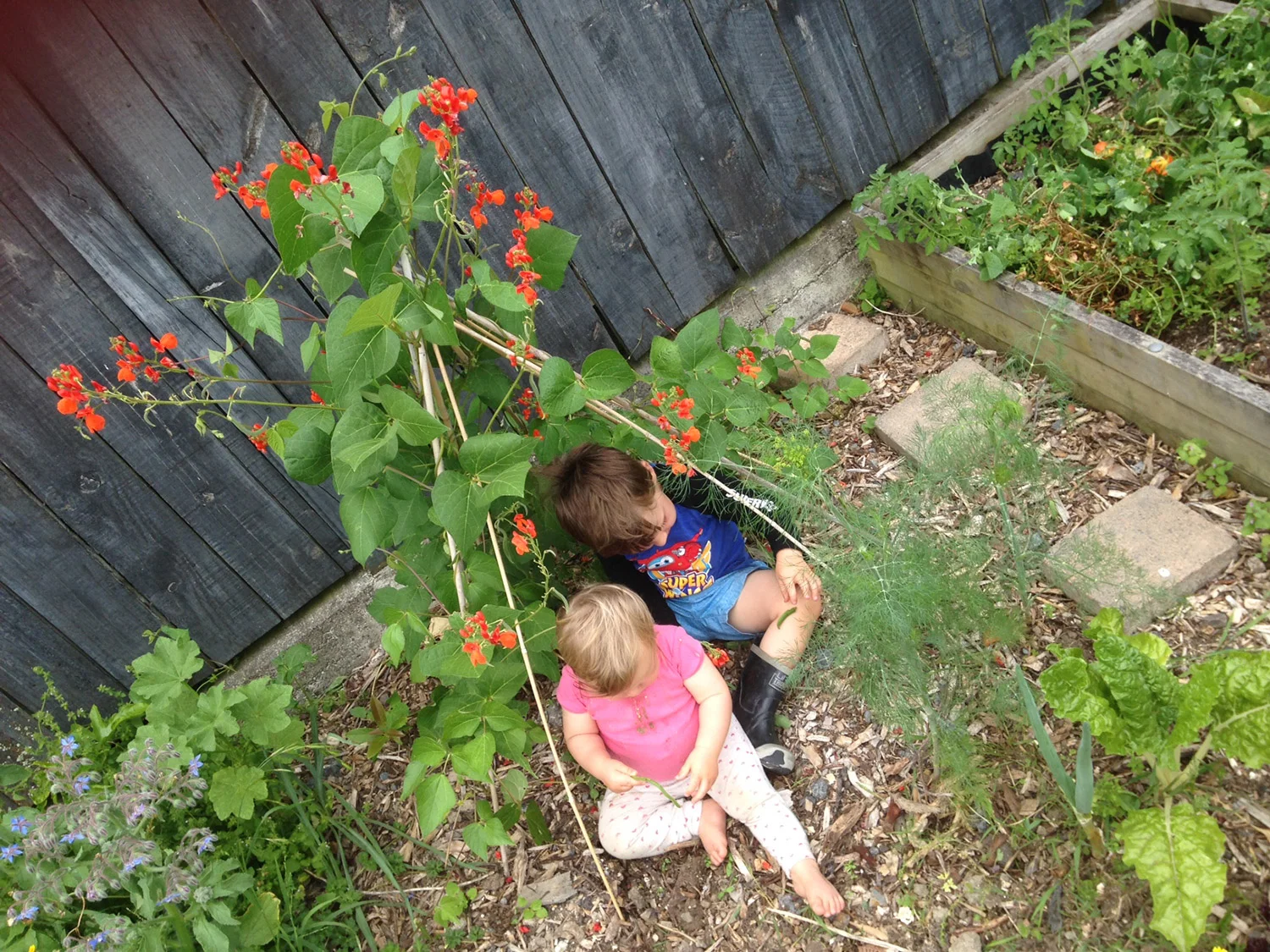 children-bean-teepi.jpg