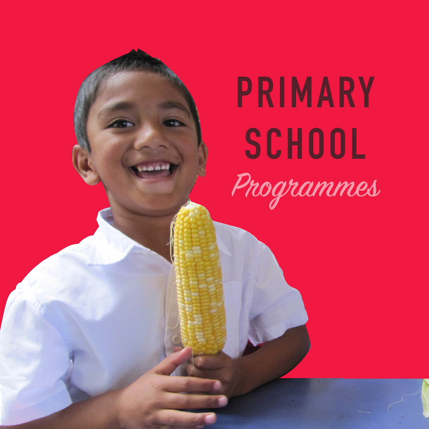 Primary Schools