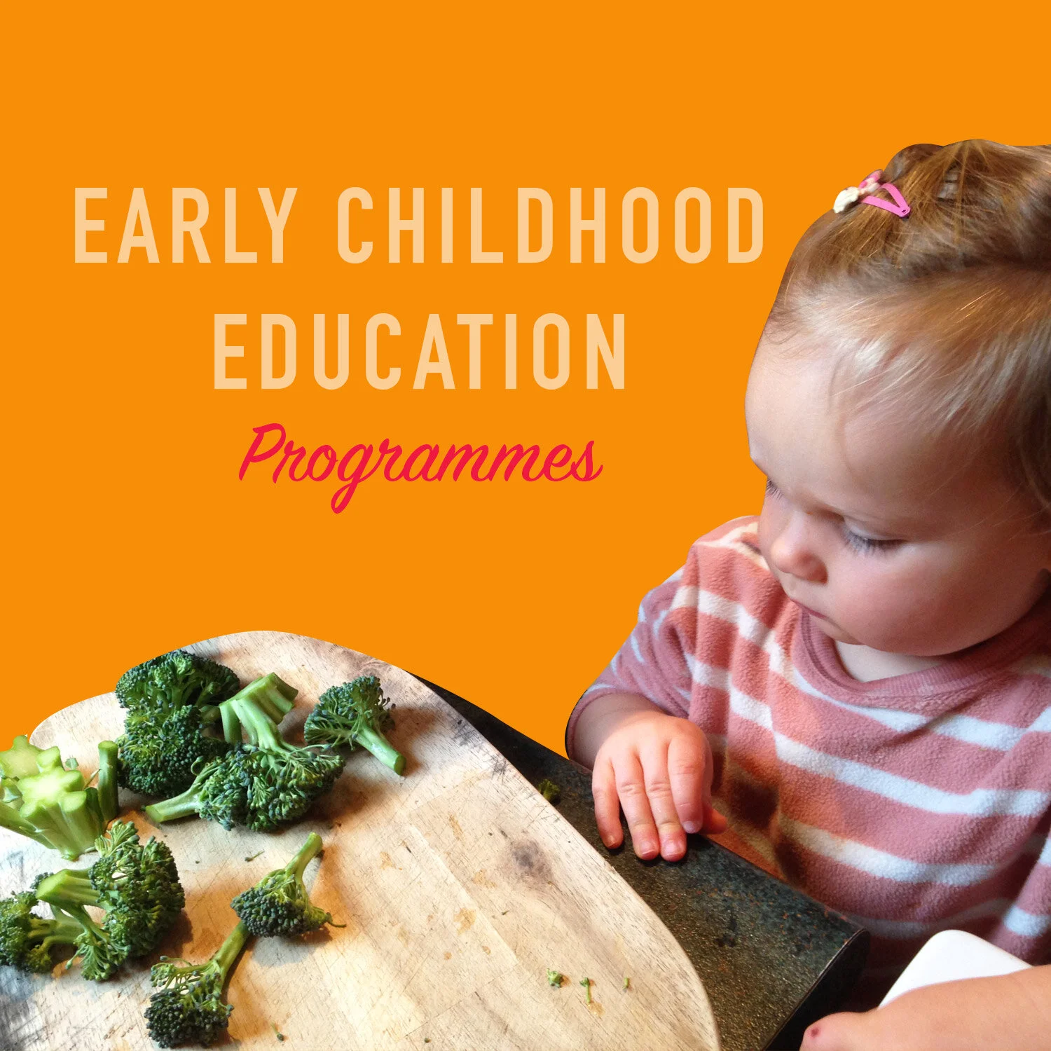 Early Childhood Centres