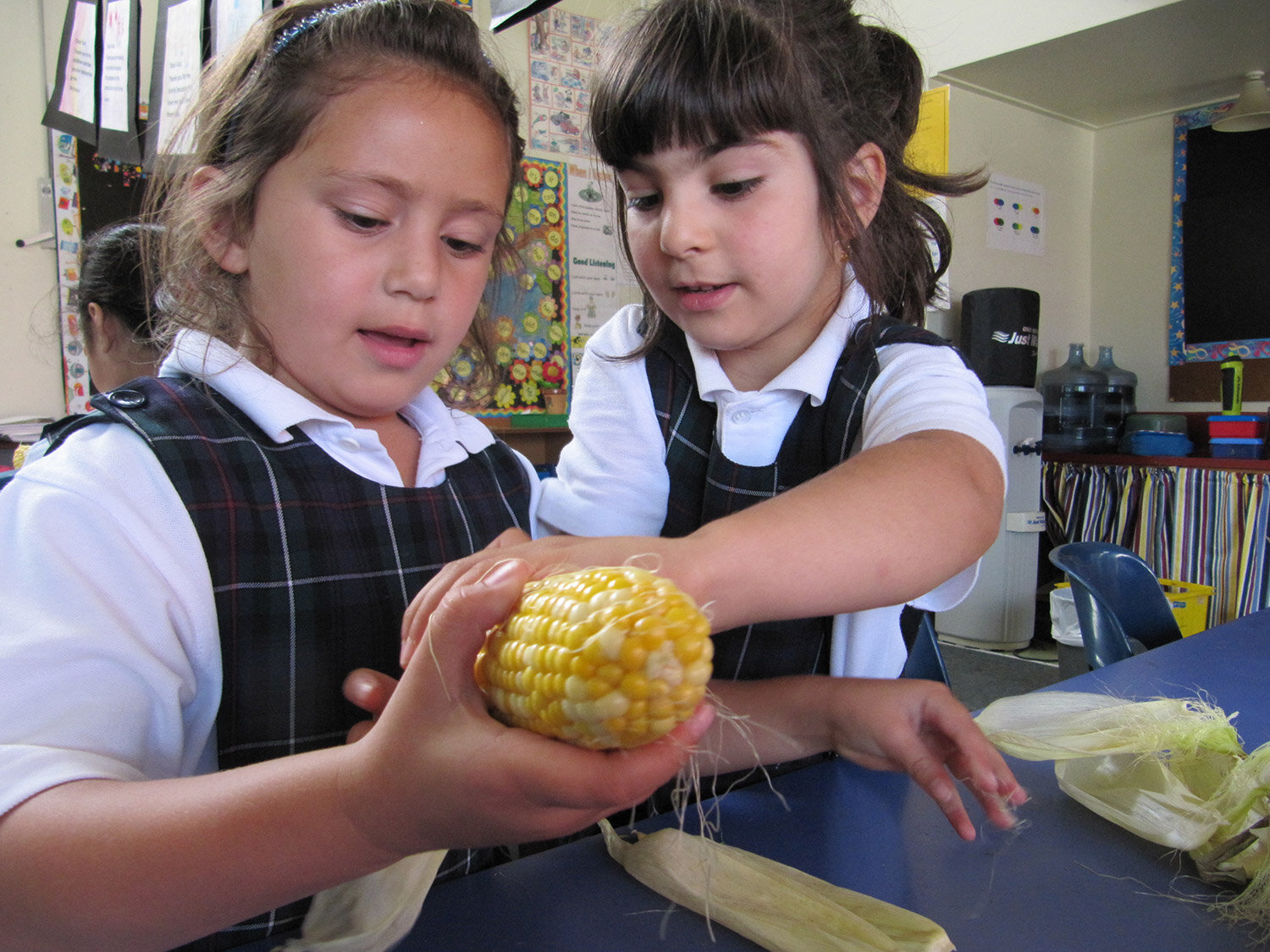 st-annes-school-food-cook-corn.jpg