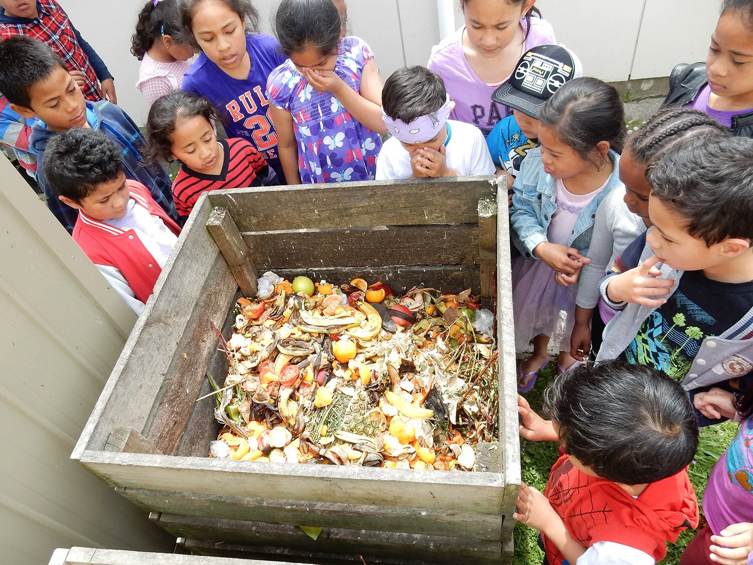 st-annes-school-compost-gardening.jpg