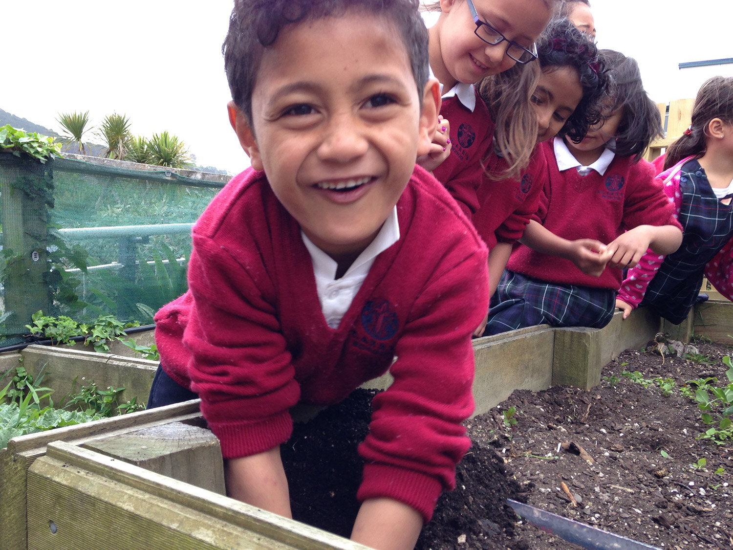 st-annes-school-soil-dig-gardening.jpg