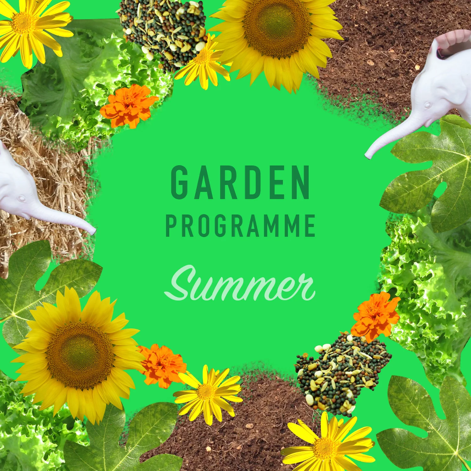 Garden Programme