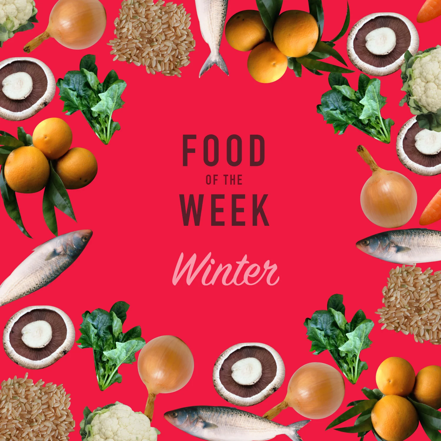 Winter - Food of the Week Programme - Term 3