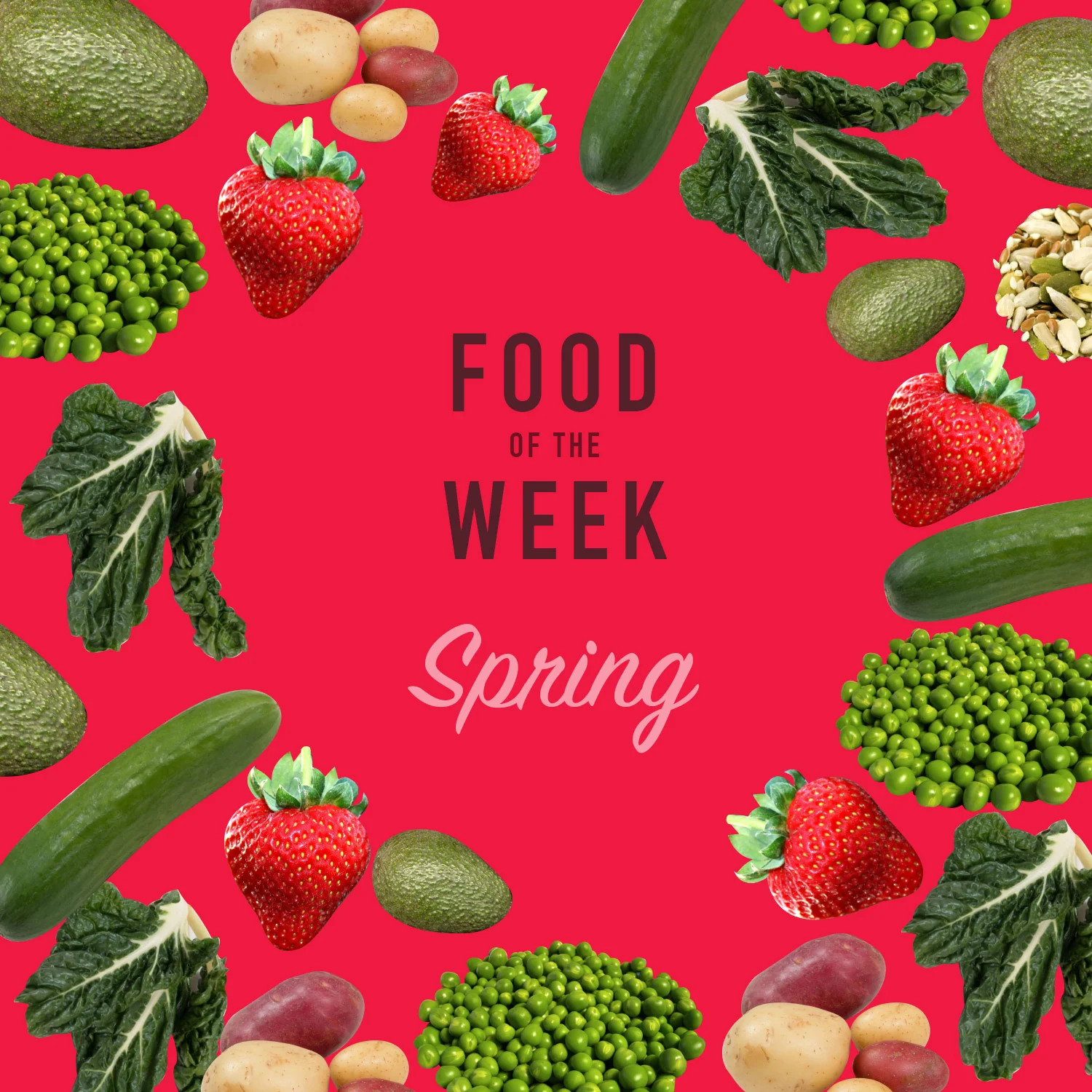 Spring - Food of the Week Programme - Term 4