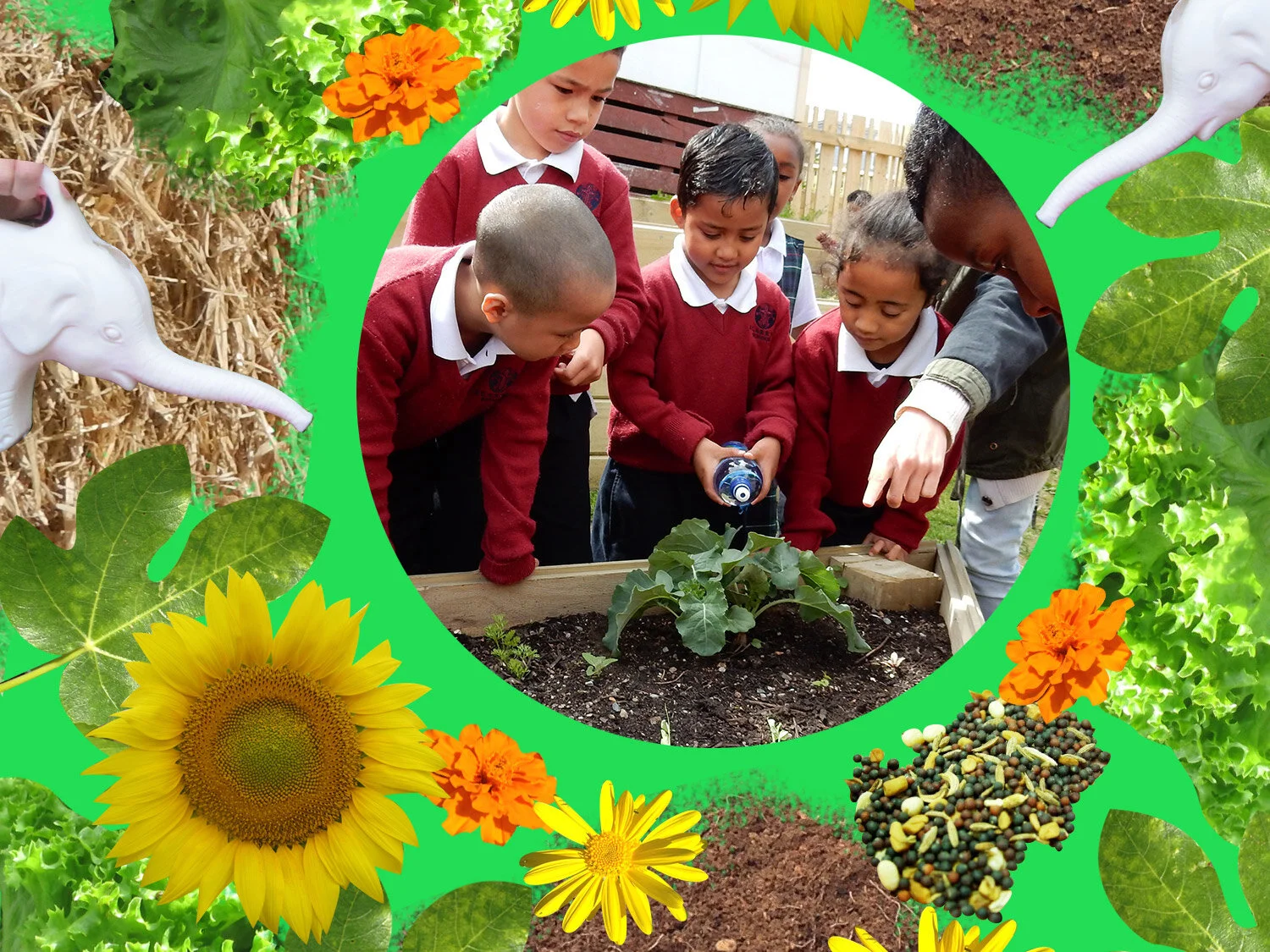 st-annes-school-watering-gardening-green.jpg