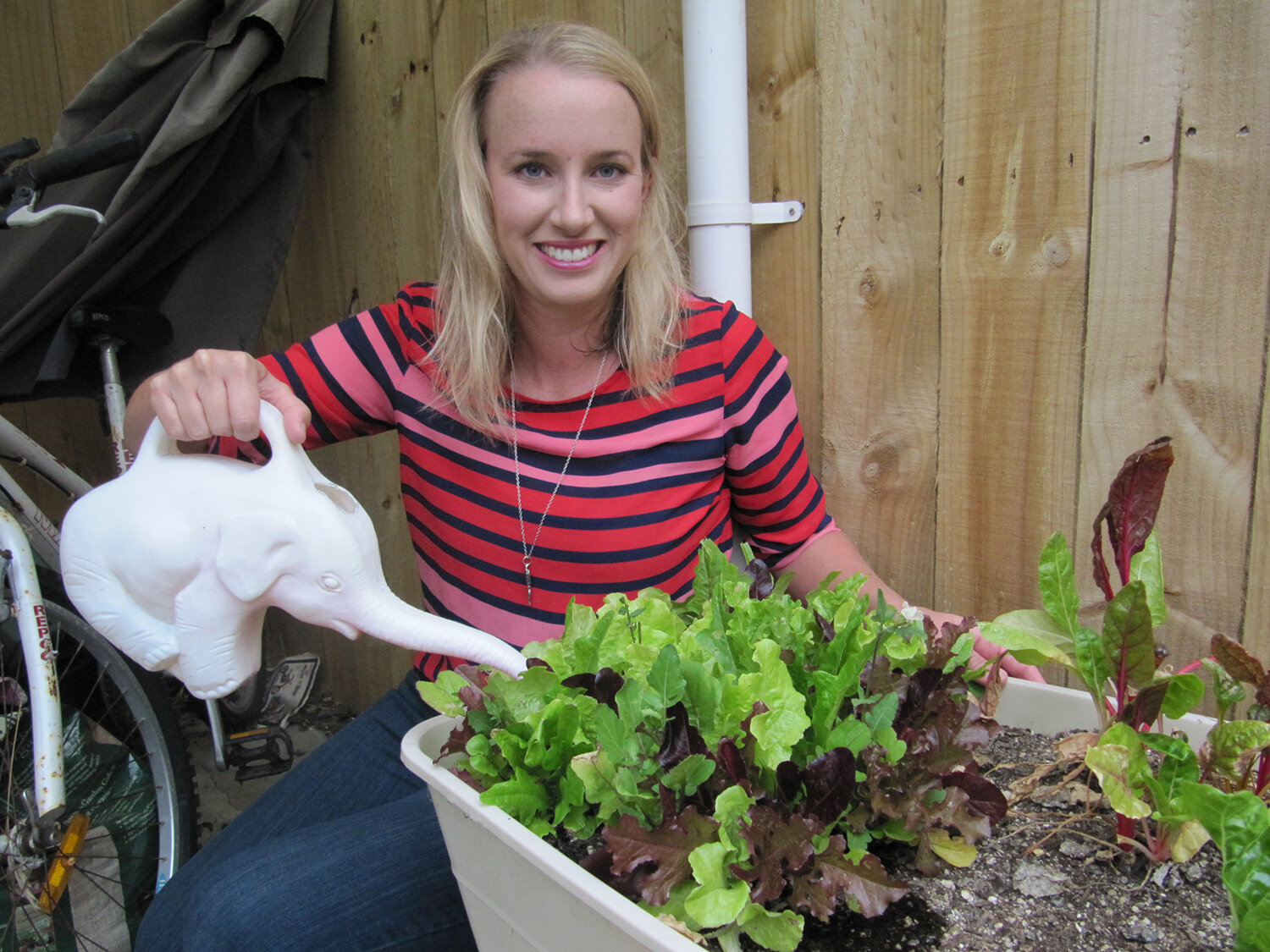 lettuce-grower.jpg