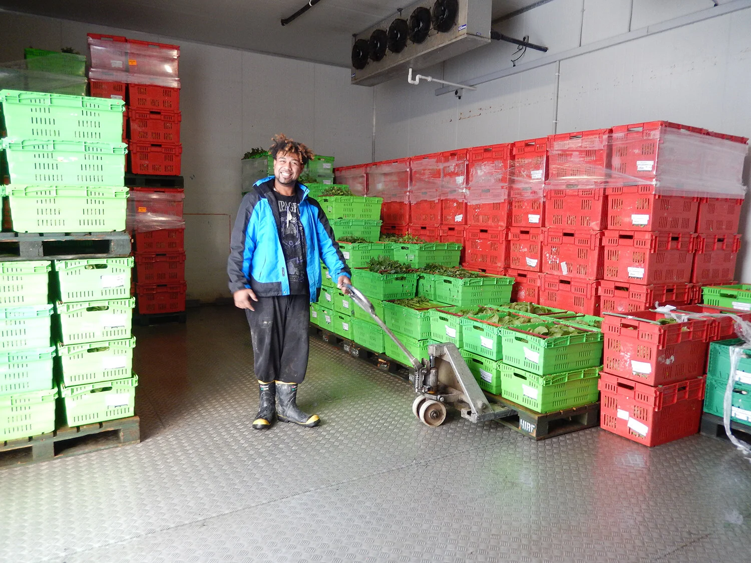 spinach-packing-shed.jpg