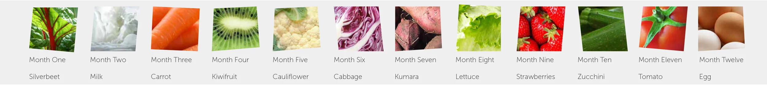 Know-Me-Eat-Me--Foods.jpg