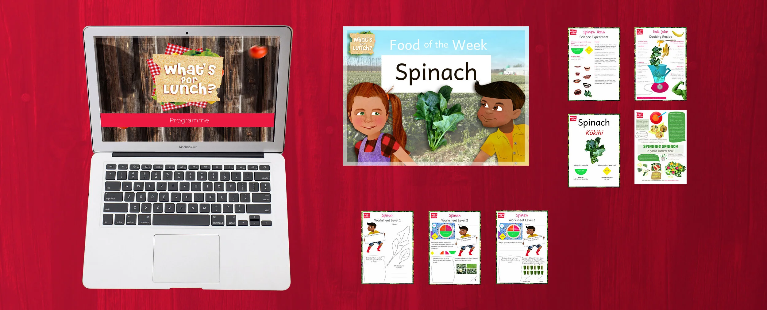 FYFOTW-primary-school-resources.jpg