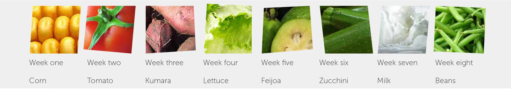 Summer-Food-of-the-Week-Programme.jpg