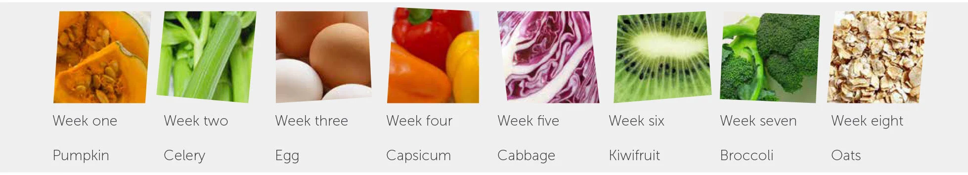 Autumn-Food-of-the-Week-Programme.jpg