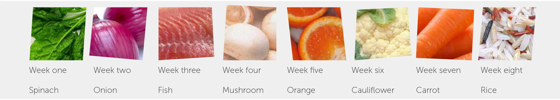 Winter-Food-of-the-Week-Programme.jpg