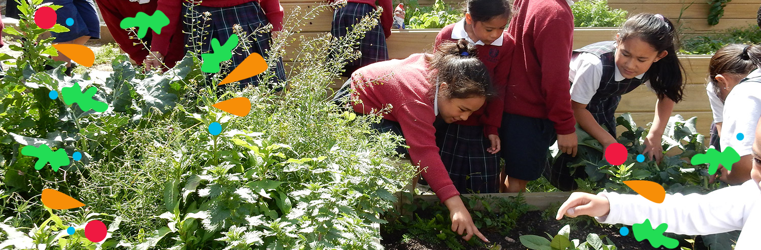 st-annes-school-weeding-gardening-pattern.png