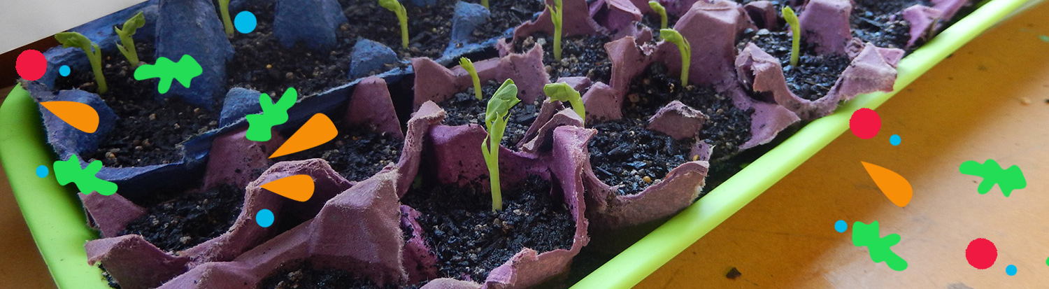 st-annes-school-seedling-gardening-pattern.png