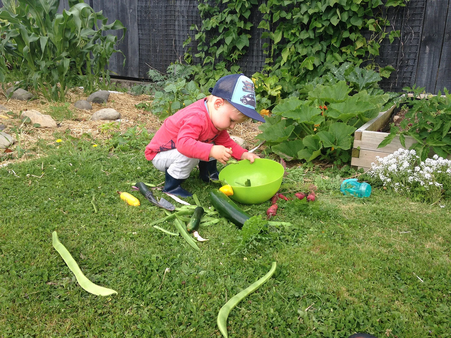 ece-cooking-garden-programme.jpg