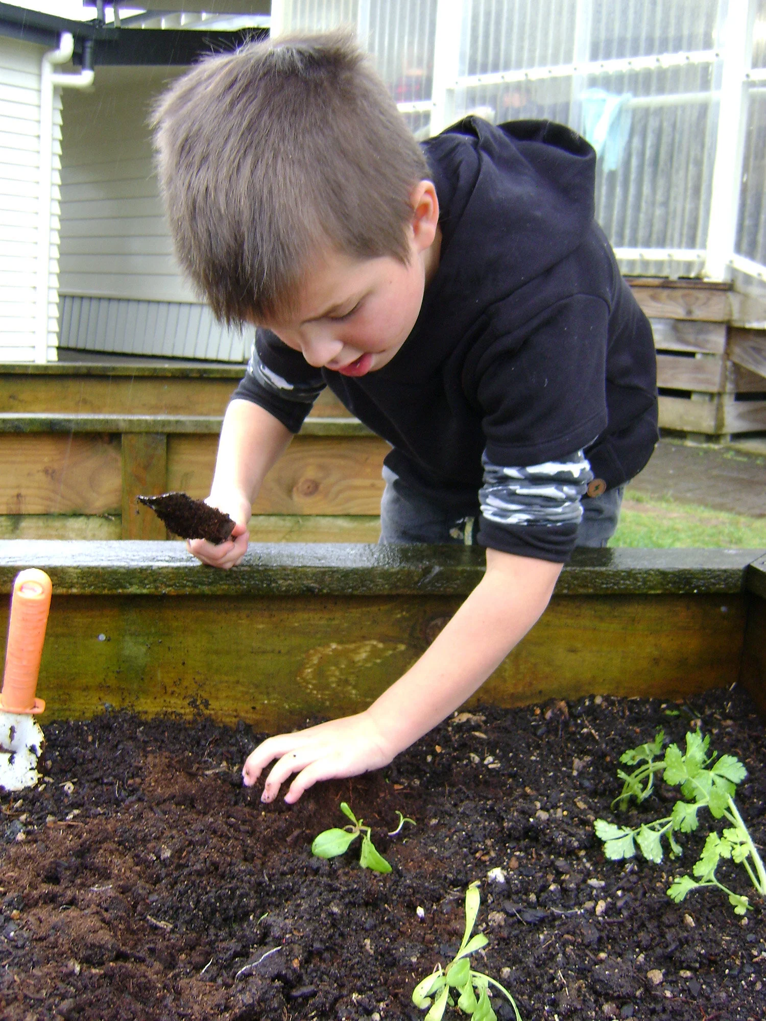 te-pahu-school-garden.jpg
