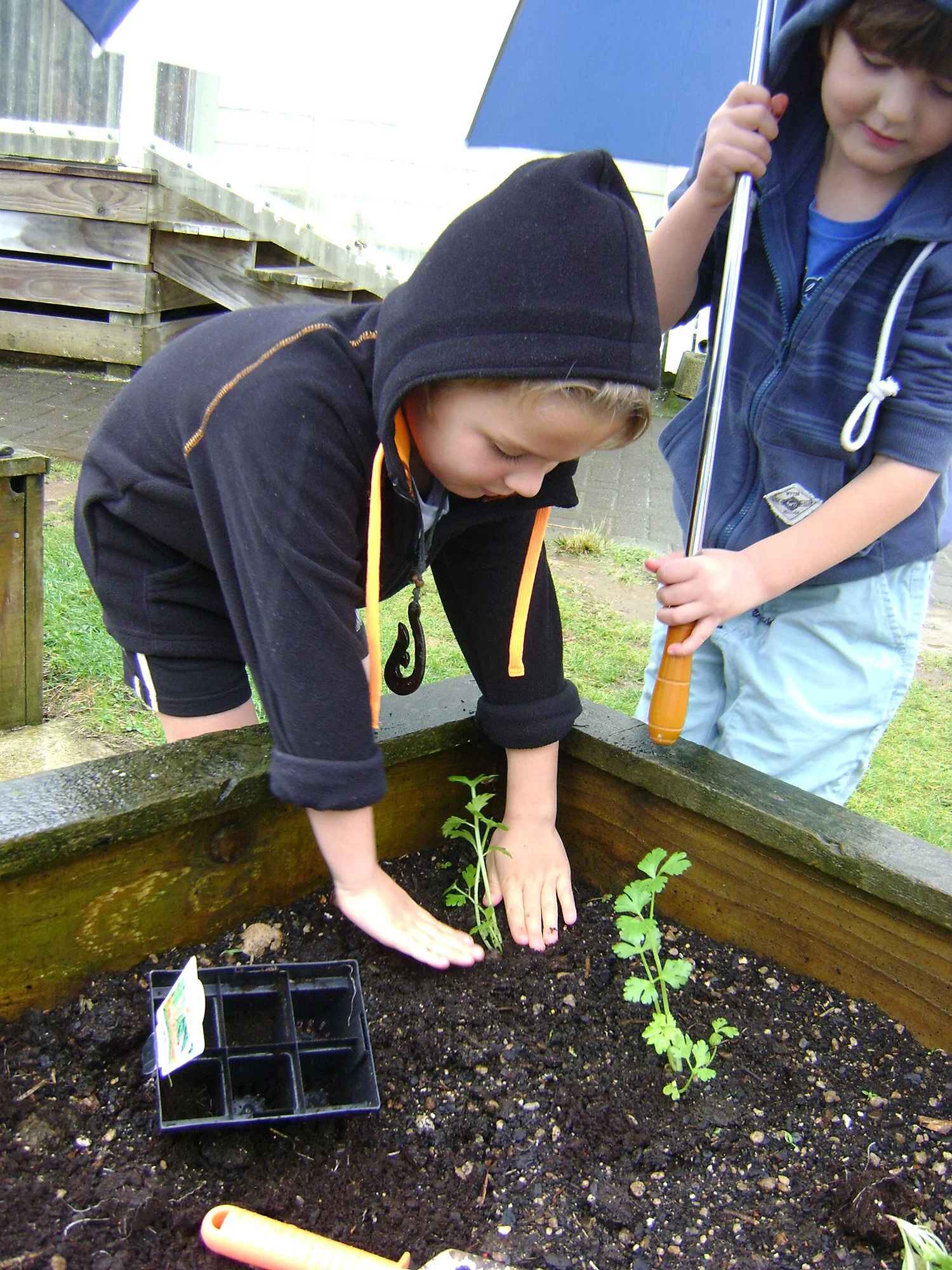 te-pahu-school-garden-planting.jpg