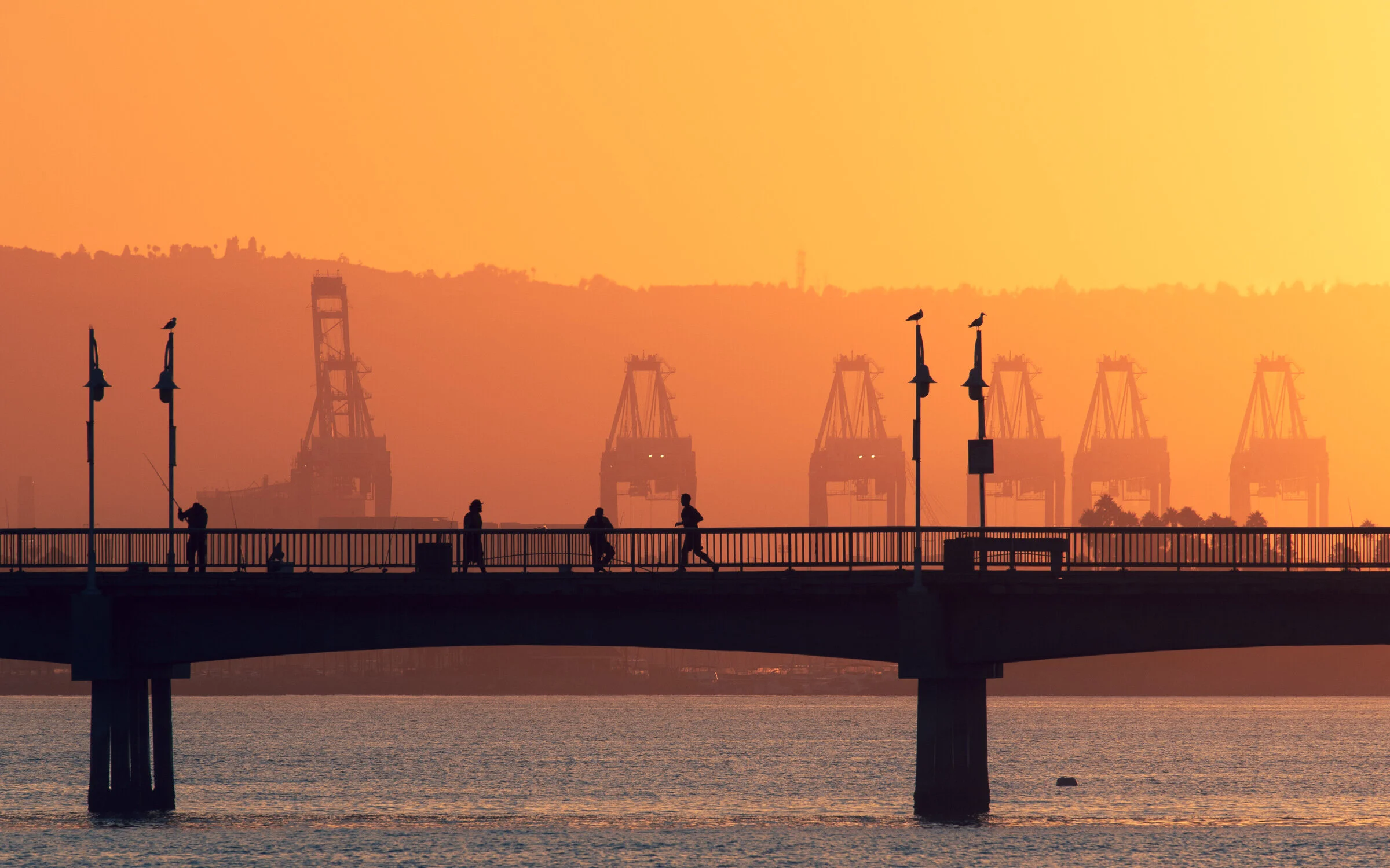 Jogger on Belmont Pier