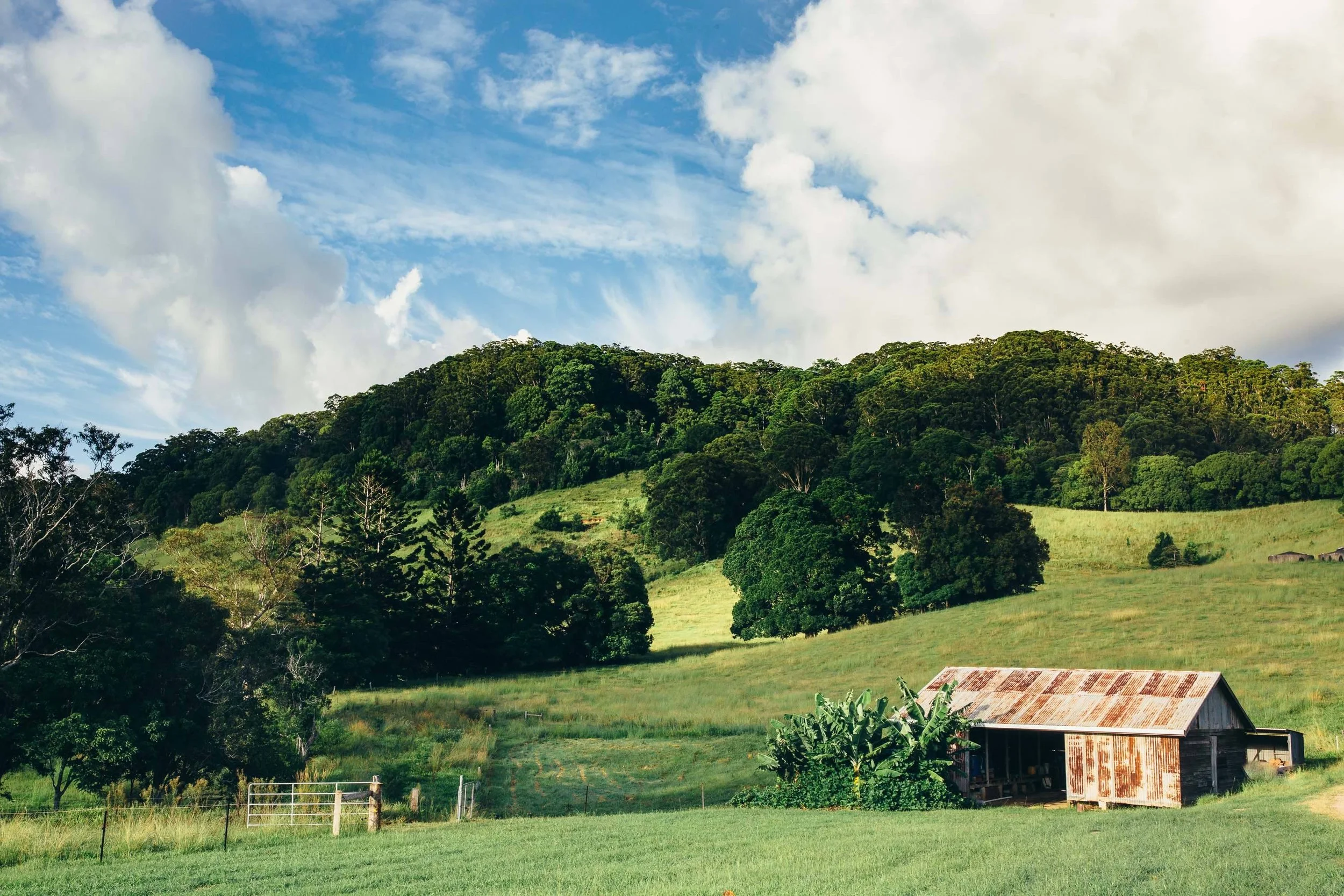 Farm4 (1).jpg