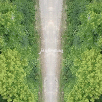 dirtroad.gif