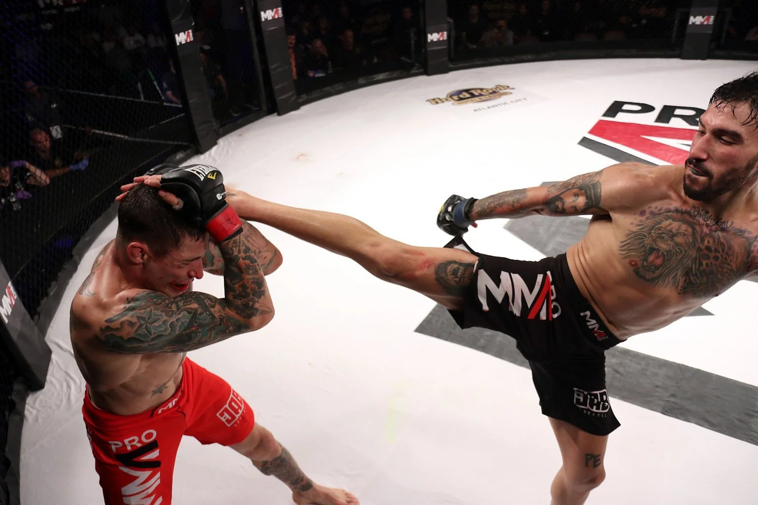 9-15-18+MMAPL pic.jpg