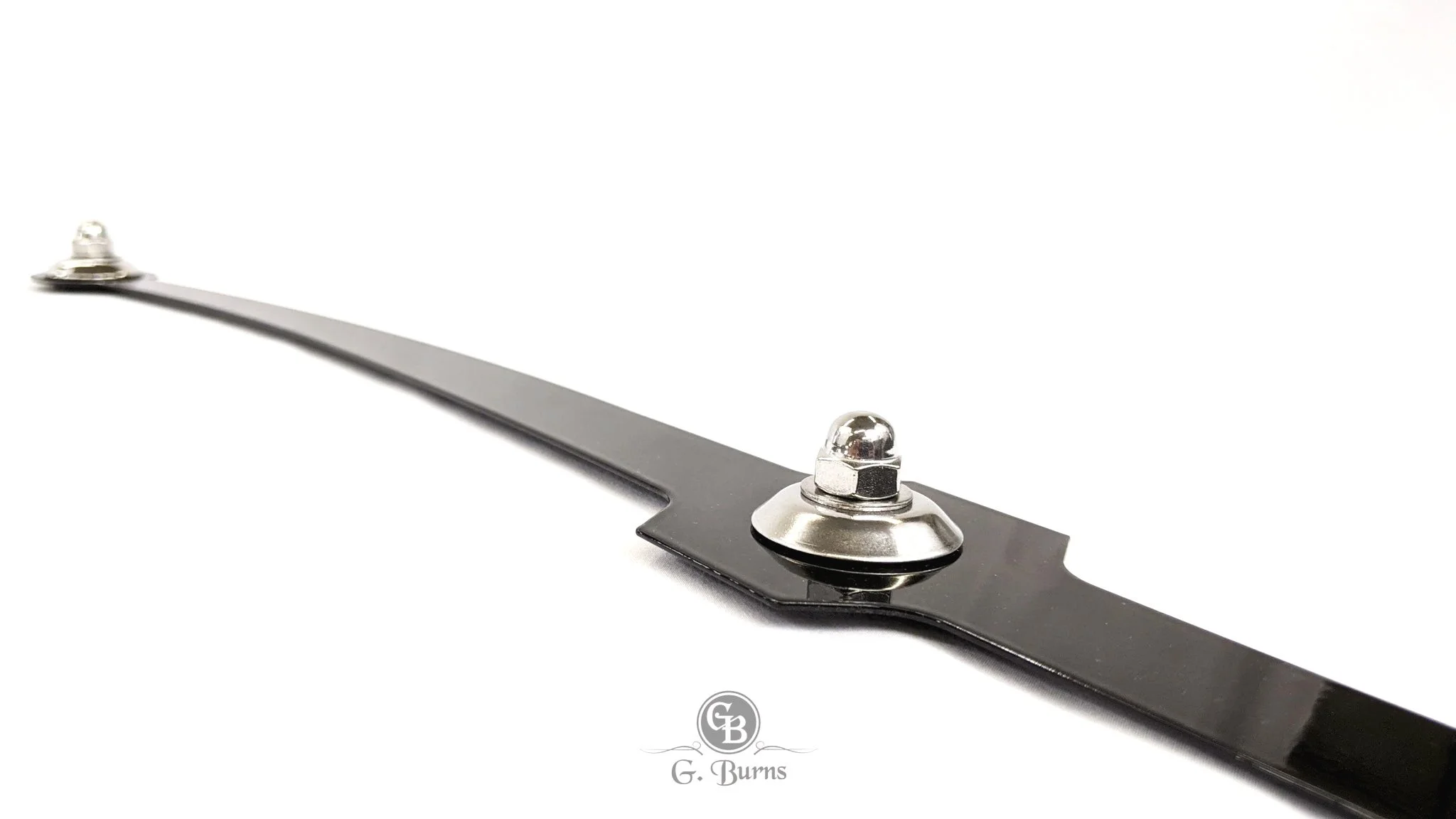 black-landau-bar-for-hearse-g-burns-llc.jpg