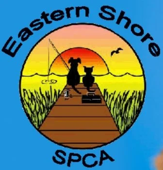 SPCA logo.jpeg