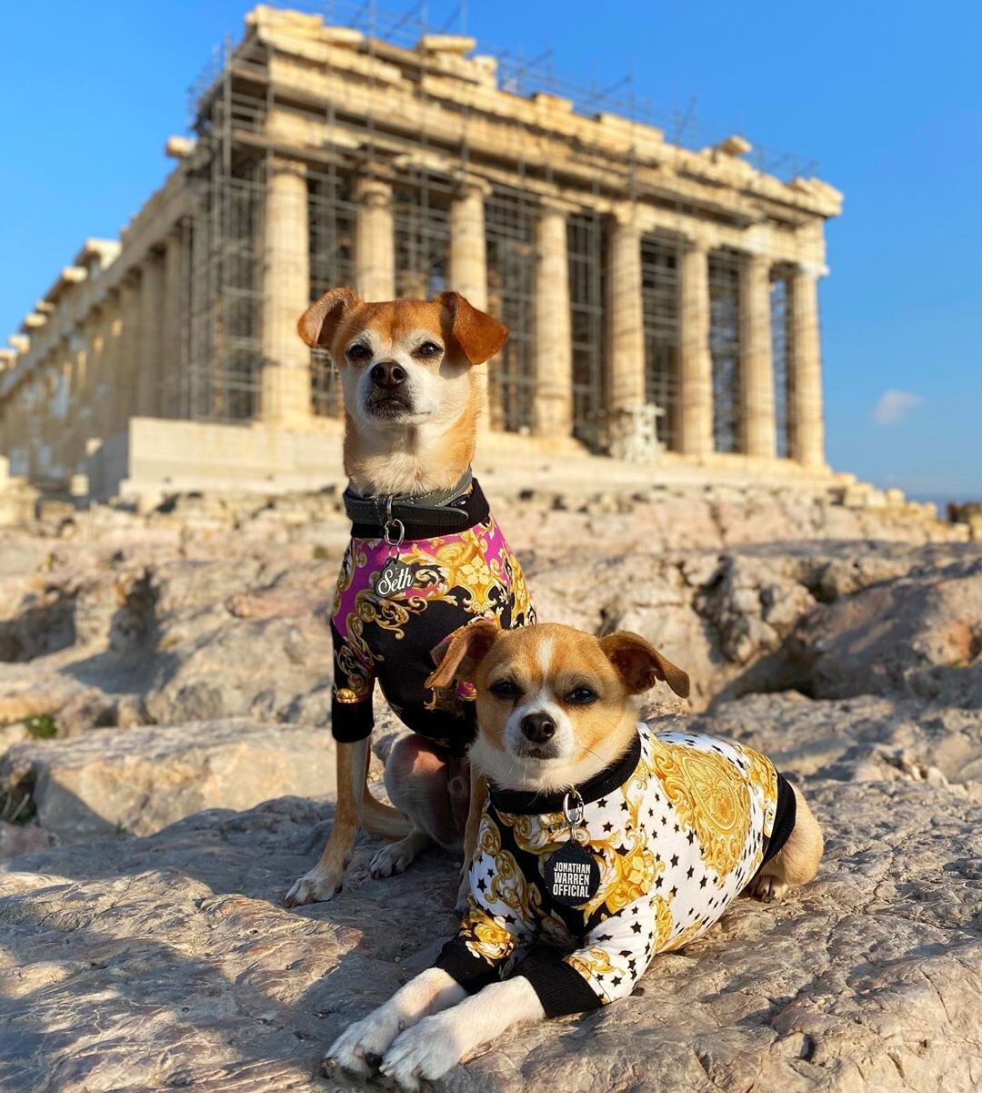 Dog-Friendly Athens