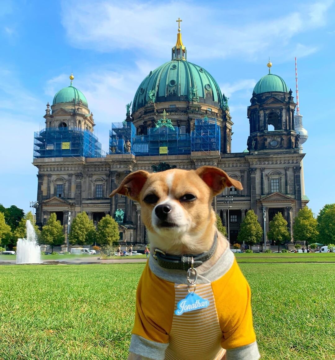 Dog-Friendly Berlin