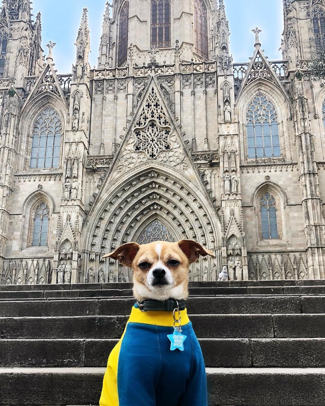 Dog-Friendly Barcelona