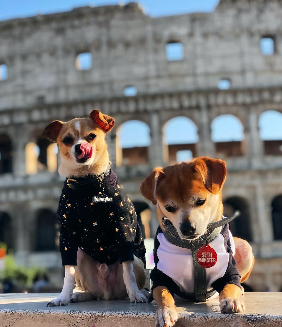 Dog-Friendly Rome