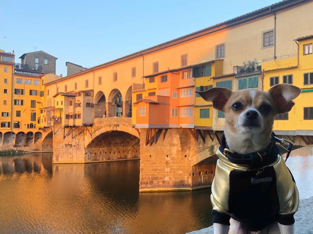 Dog-Friendly Florence