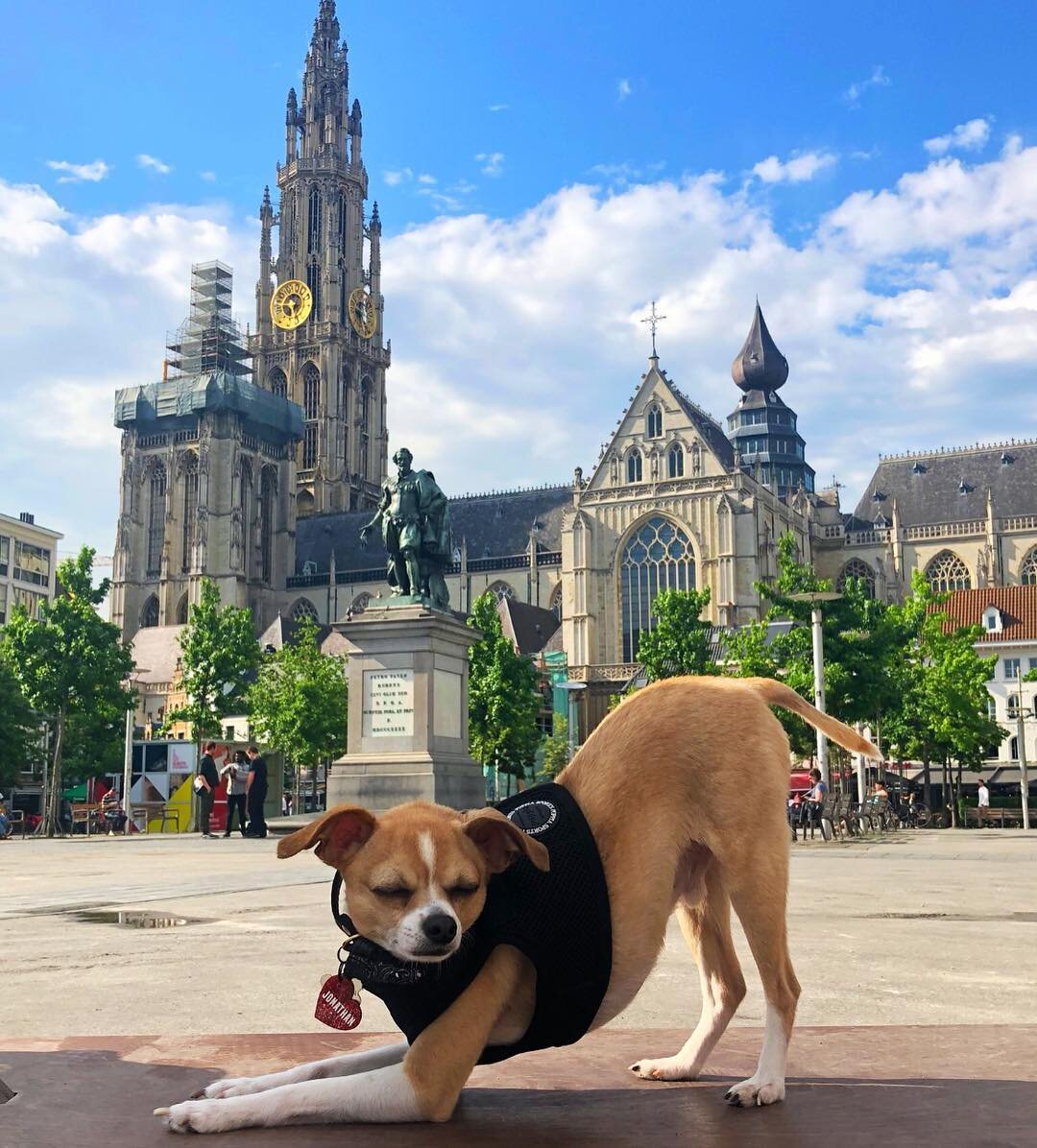 Dog-Friendly Antwerp