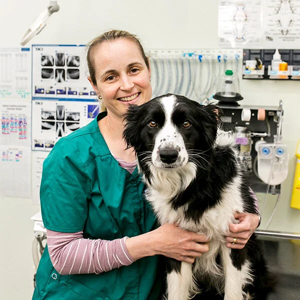 Ringwood Veterinary Clinic