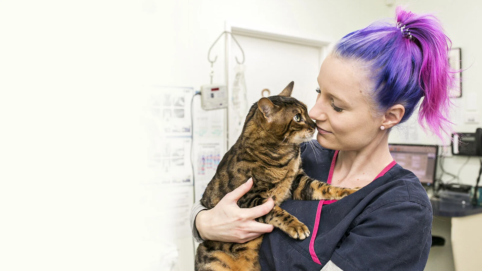 Nurturing care for your pet