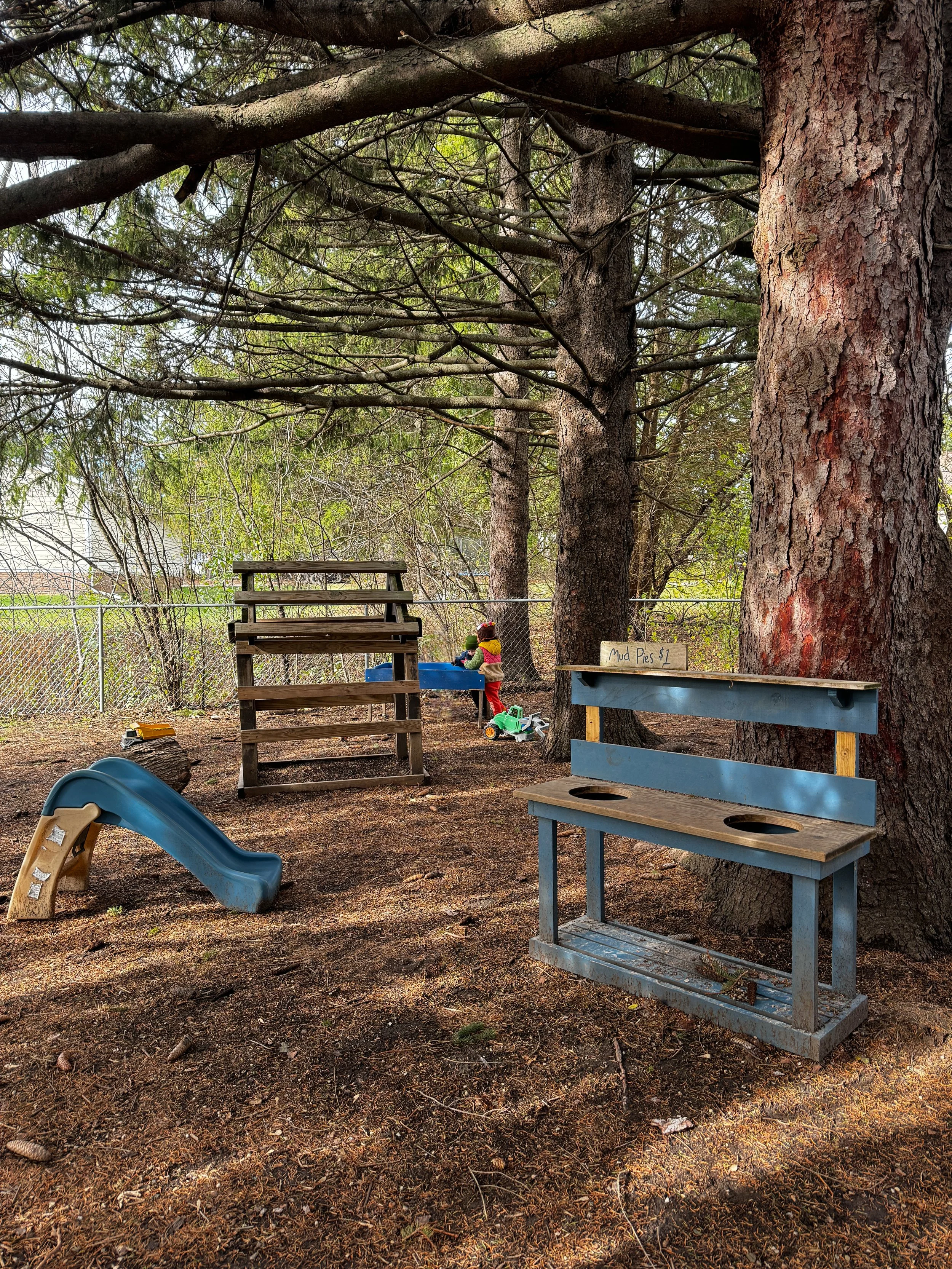 Nature Classroom — New World Montessori