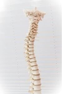 What is Posture Alignment Therapy?