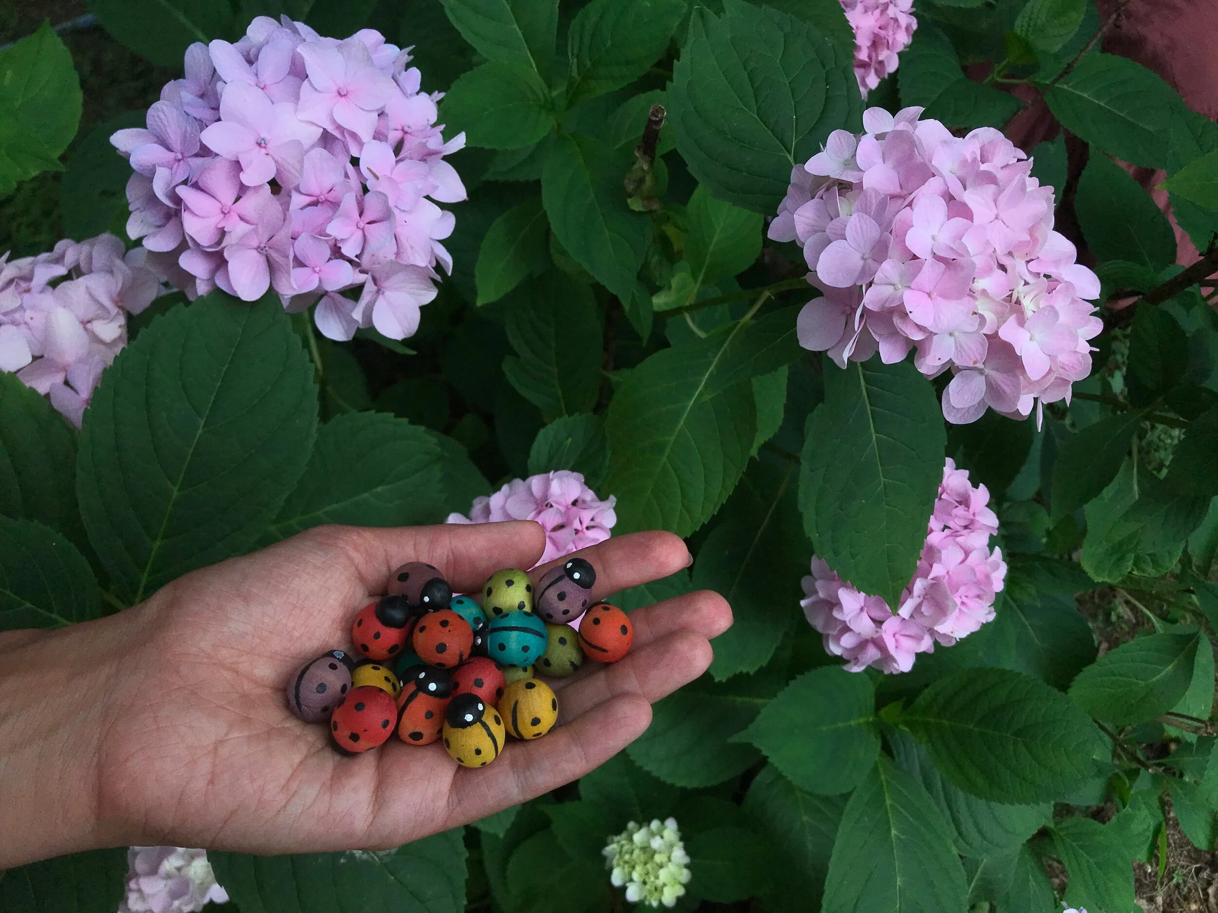 Rainbow Sorting Lady Bugs