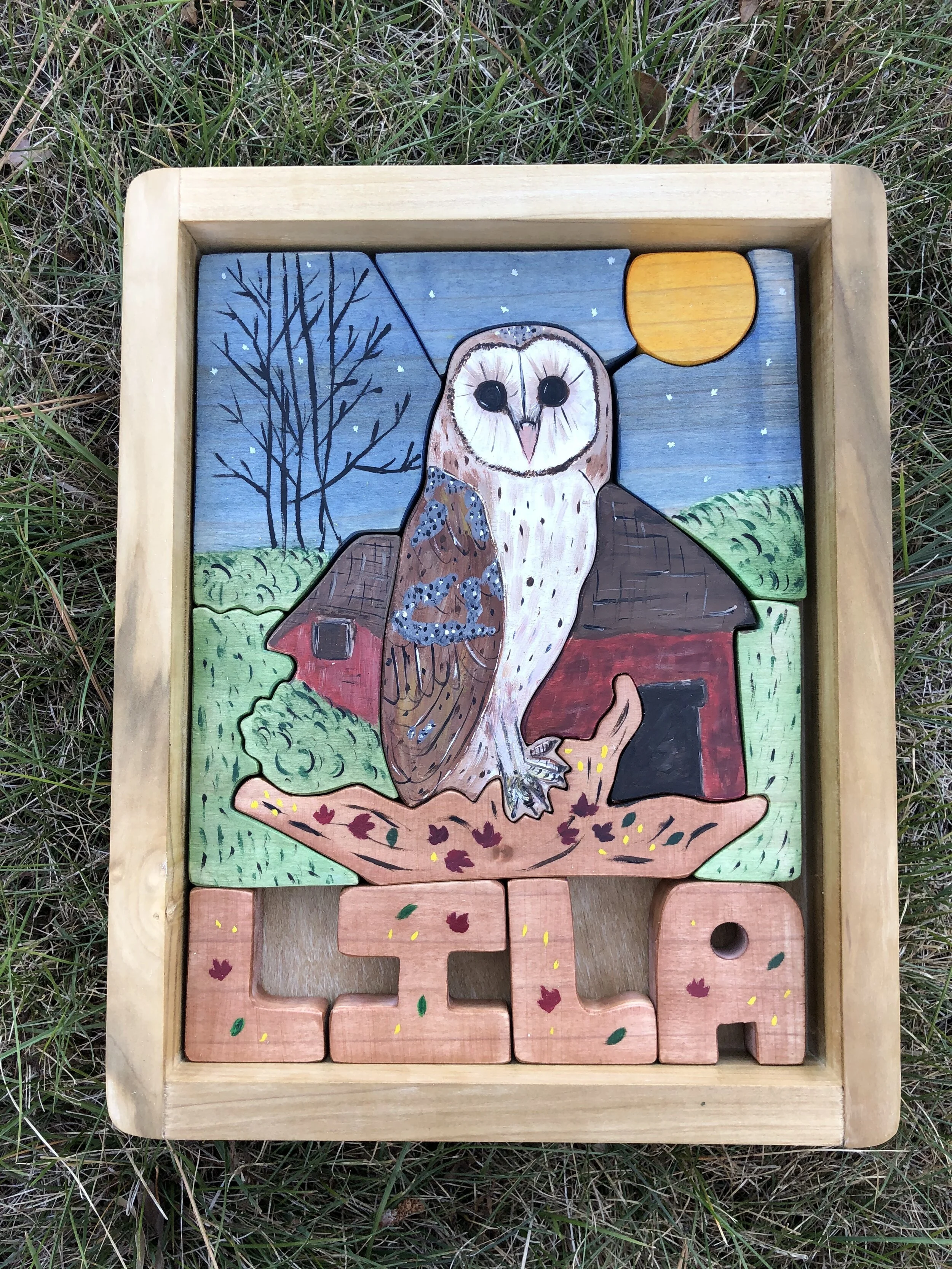 Barn Owl