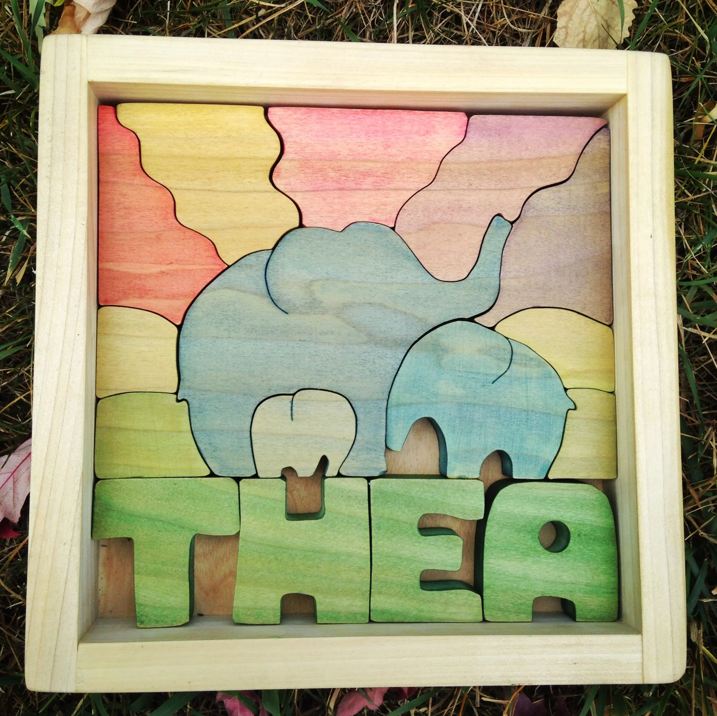 Elephant Family