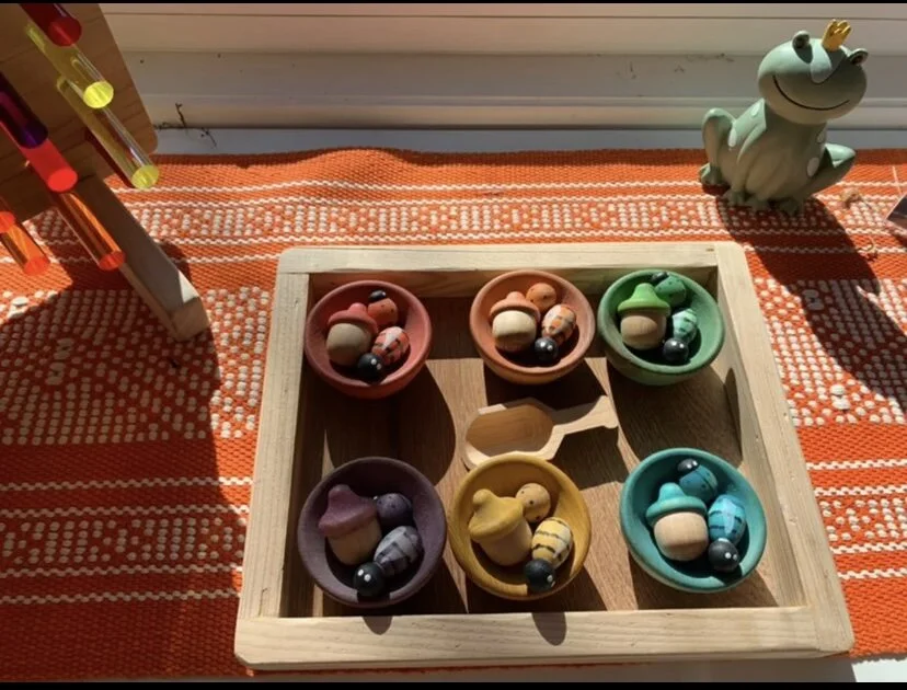 Rainbow Sorting Bug Set