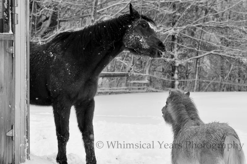 dsc_0478.jpg