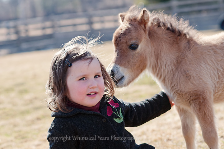 Miniature horse foal and children