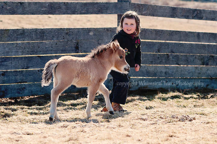 Miniature horse foal and children
