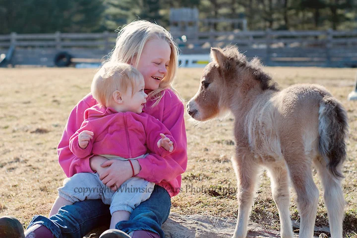 Maine Children's Photographer