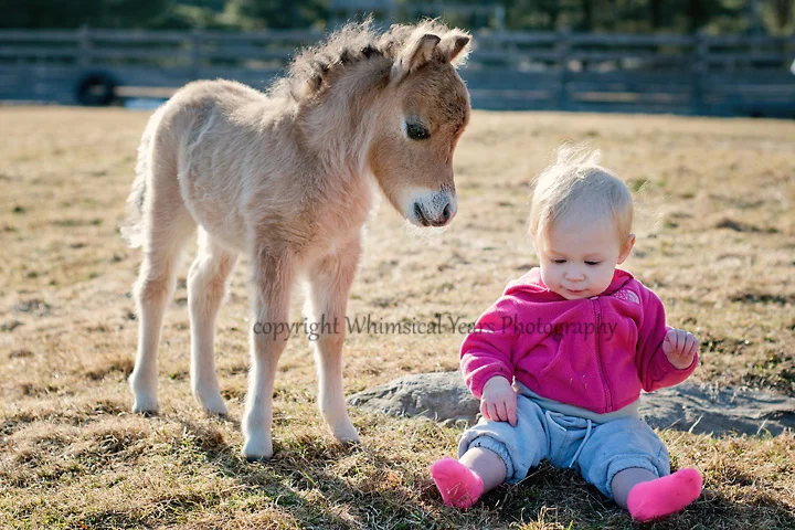Maine Children's Photographer